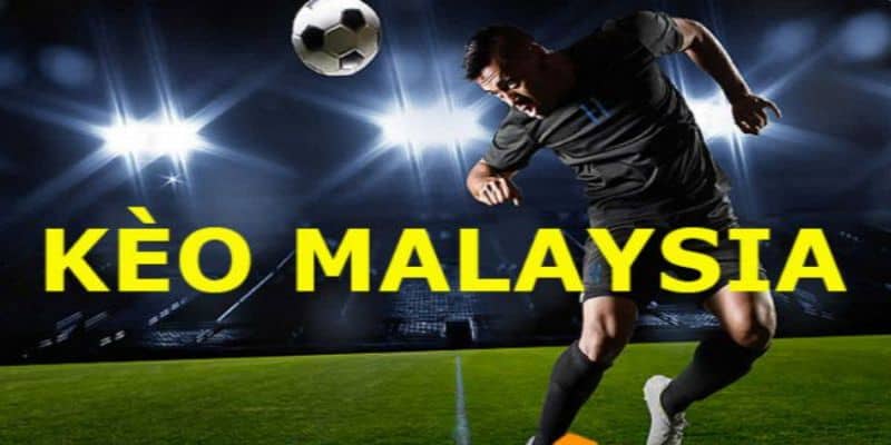Đặt tỷ lệ kèo Malaysia có gì thú vị? 5 Đặt tỷ lệ kèo Malaysia được hiểu như thế nào?