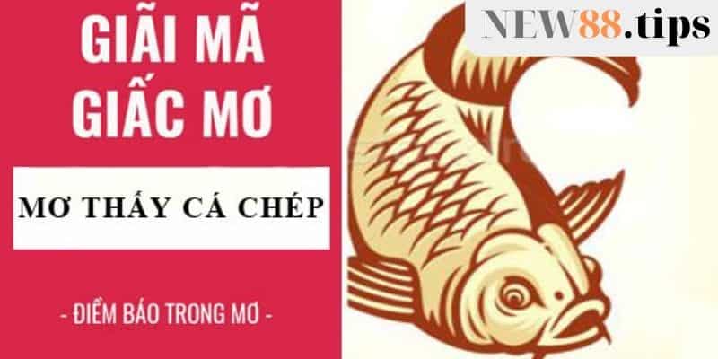 Mơ thấy cá chép là điềm gì và đánh con gì dễ trúng nhất 6 Giải nghĩa mơ thấy cá chép