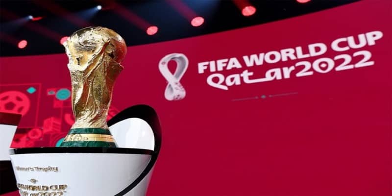 World Cup 2022 Được Tổ Chức Ở Đâu? Diễn Ra Trong Thời Gian Nào? 6 Thông tin tổng quan về sự kiện World Cup 2022